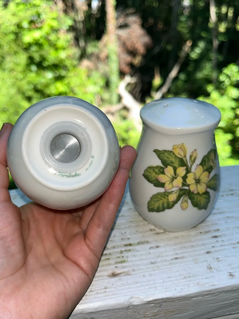 Vintage Noritake Fine China Gourmet Garden Salt & Pepper Shaker Set